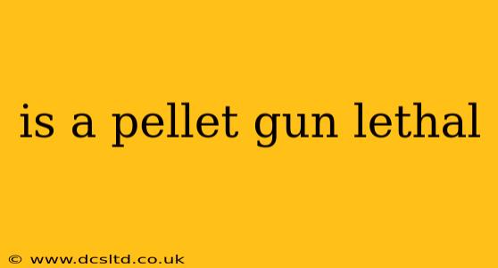 is a pellet gun lethal