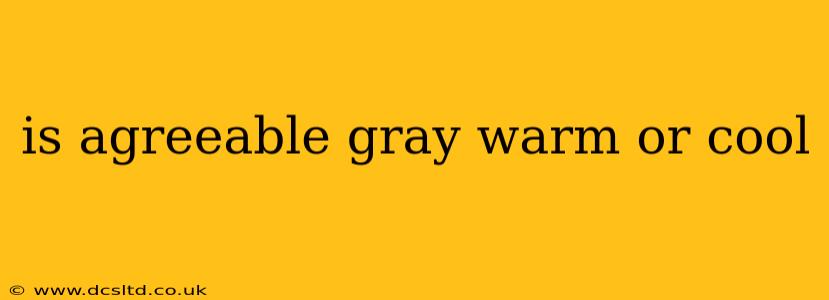 is agreeable gray warm or cool