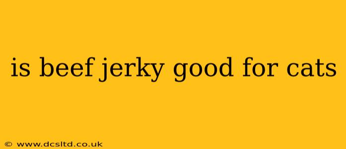 is beef jerky good for cats