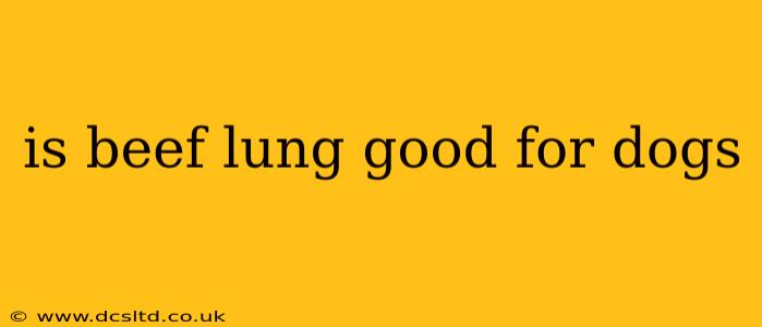 is beef lung good for dogs