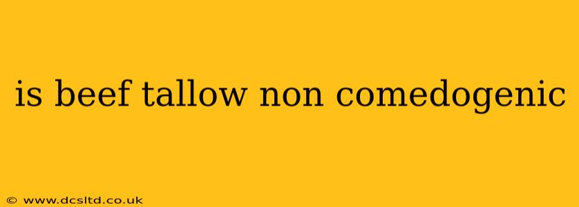 is beef tallow non comedogenic
