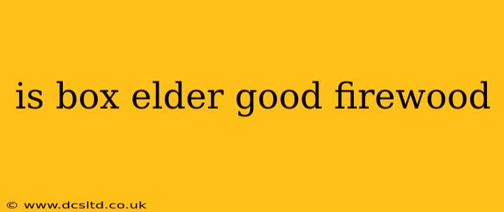 is box elder good firewood