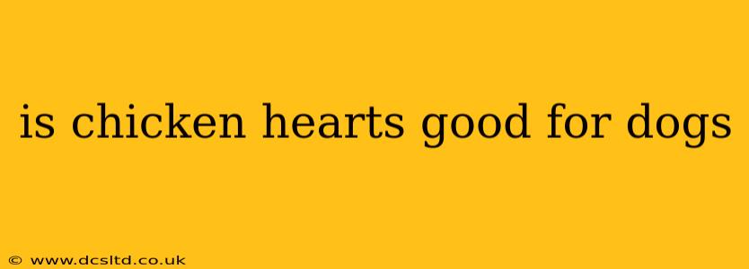 is chicken hearts good for dogs