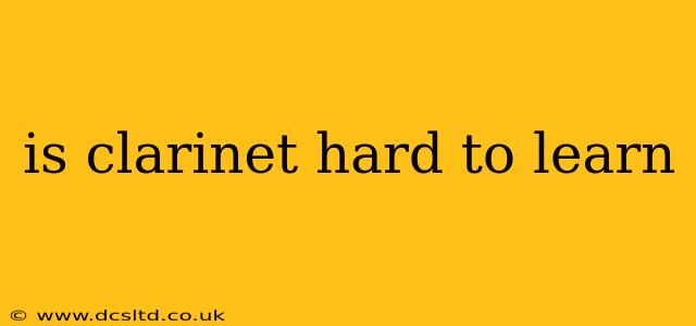 is clarinet hard to learn