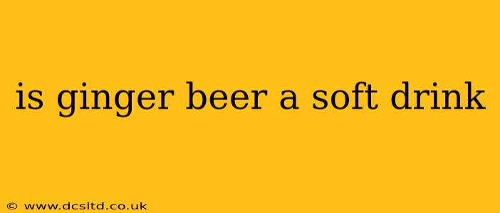 is ginger beer a soft drink