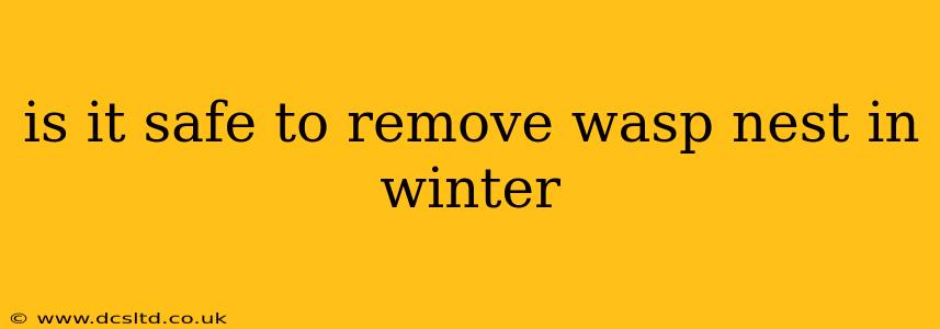 is it safe to remove wasp nest in winter