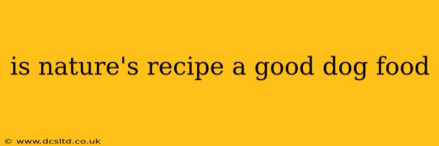is nature's recipe a good dog food