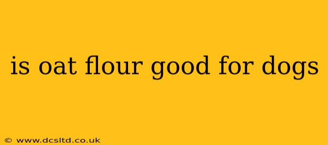 is oat flour good for dogs