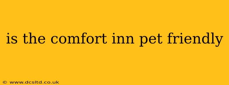 is the comfort inn pet friendly