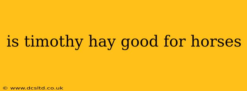 is timothy hay good for horses