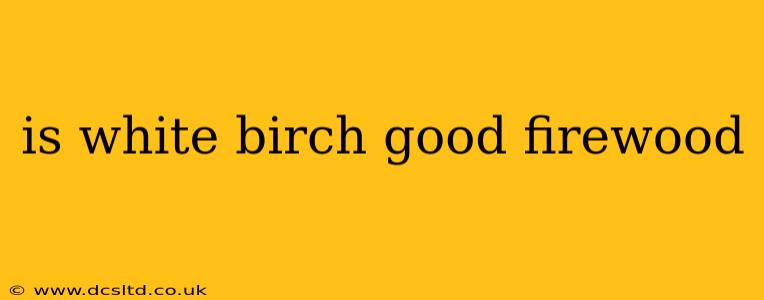 is white birch good firewood