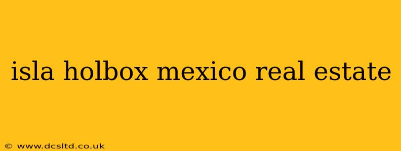 isla holbox mexico real estate