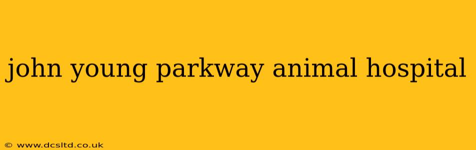 john young parkway animal hospital