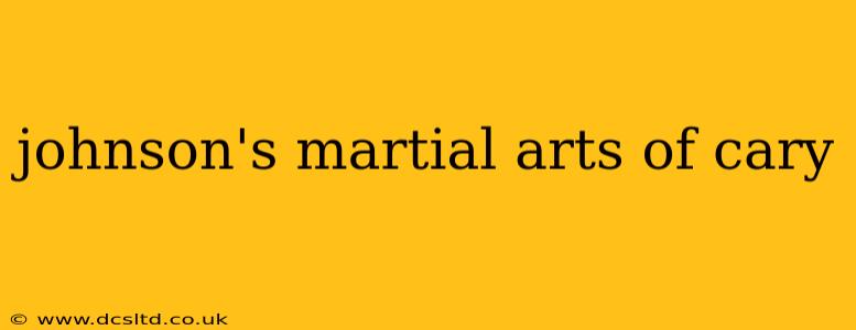 johnson's martial arts of cary