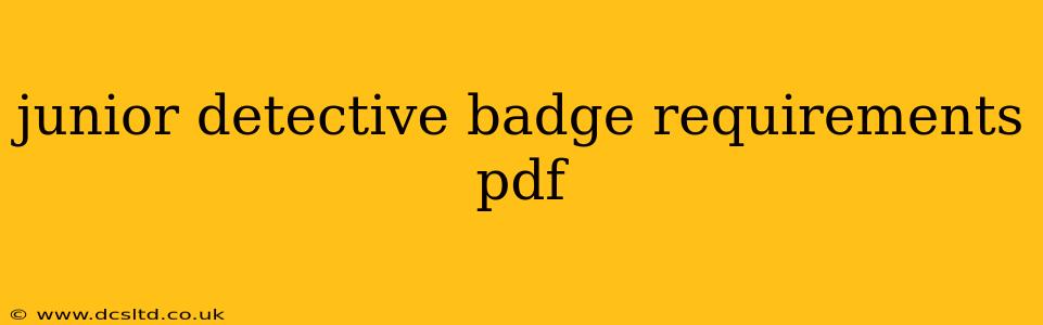 junior detective badge requirements pdf