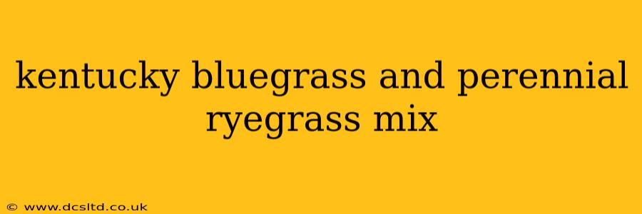 kentucky bluegrass and perennial ryegrass mix