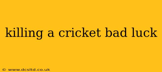 killing a cricket bad luck