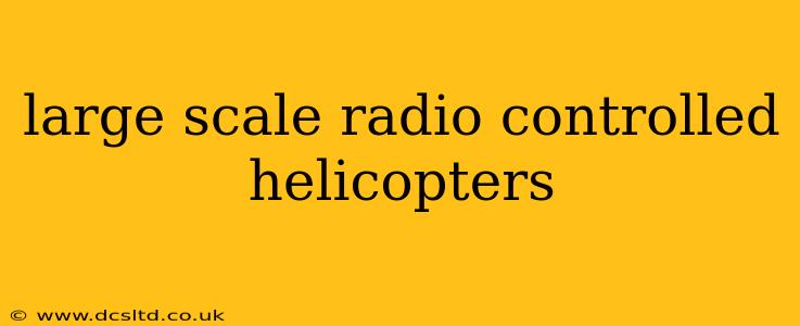large scale radio controlled helicopters