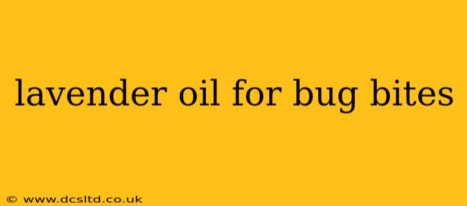 lavender oil for bug bites