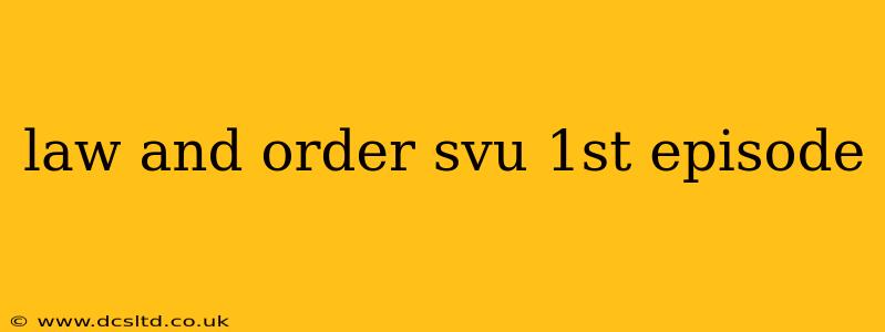 law and order svu 1st episode