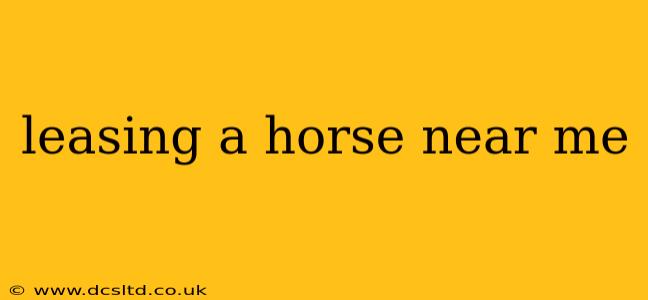 leasing a horse near me