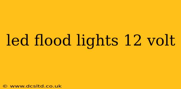 led flood lights 12 volt