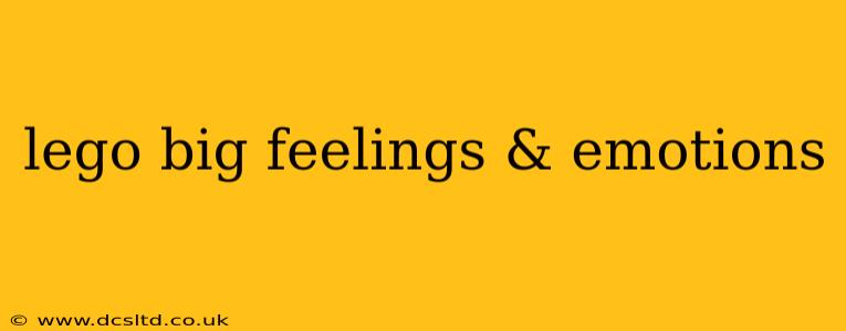 lego big feelings & emotions