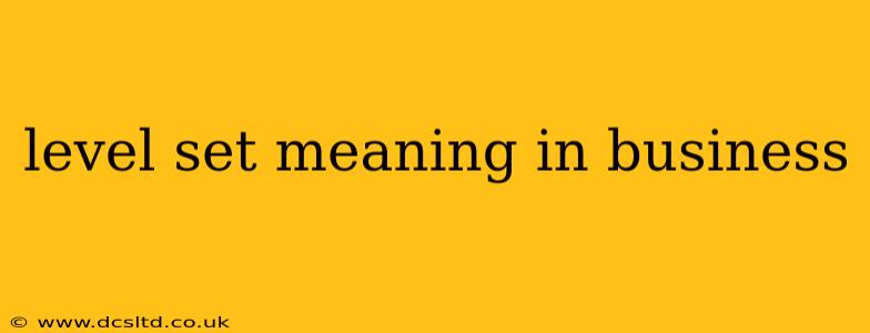 level set meaning in business