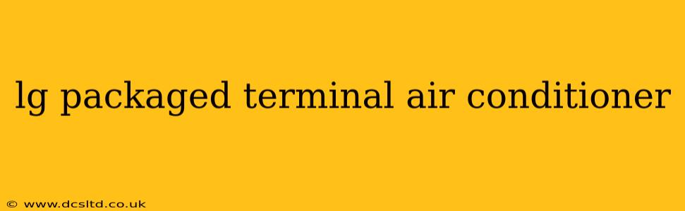 lg packaged terminal air conditioner
