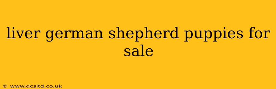 liver german shepherd puppies for sale