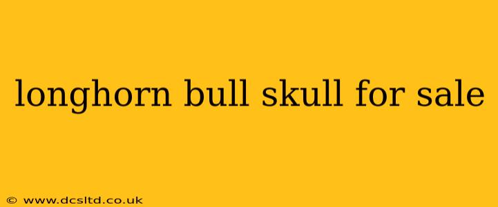 longhorn bull skull for sale