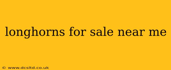 longhorns for sale near me