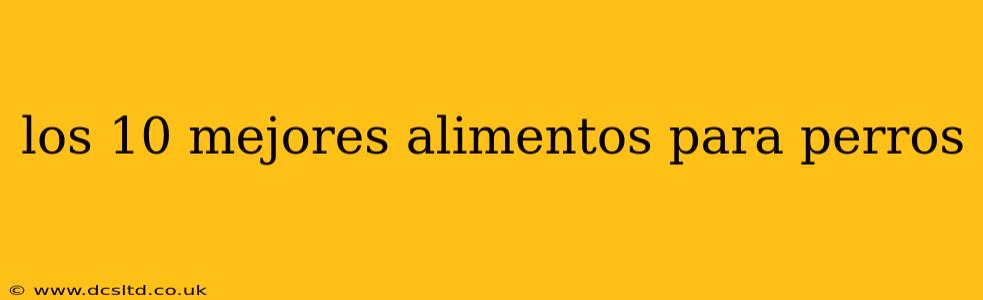 los 10 mejores alimentos para perros