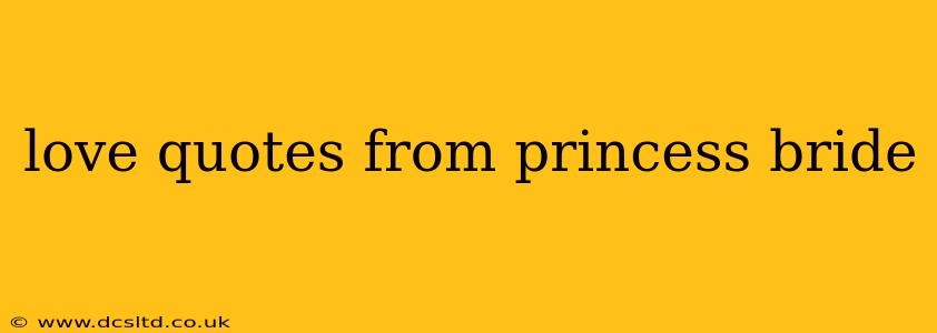 love quotes from princess bride