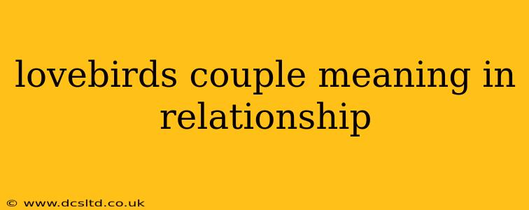 lovebirds couple meaning in relationship