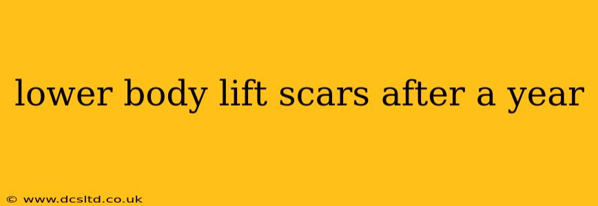 lower body lift scars after a year