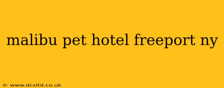 malibu pet hotel freeport ny