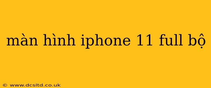 màn hình iphone 11 full bộ