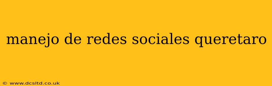 manejo de redes sociales queretaro