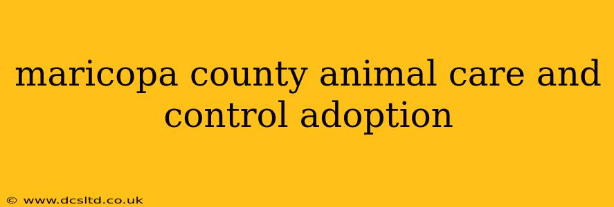 maricopa county animal care and control adoption