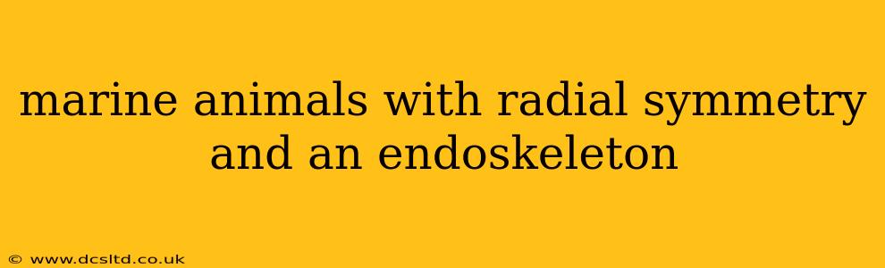 marine animals with radial symmetry and an endoskeleton