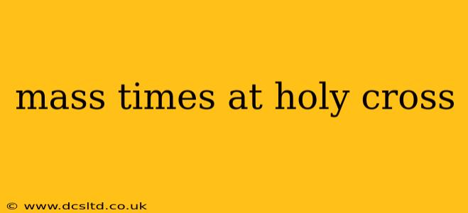 mass times at holy cross