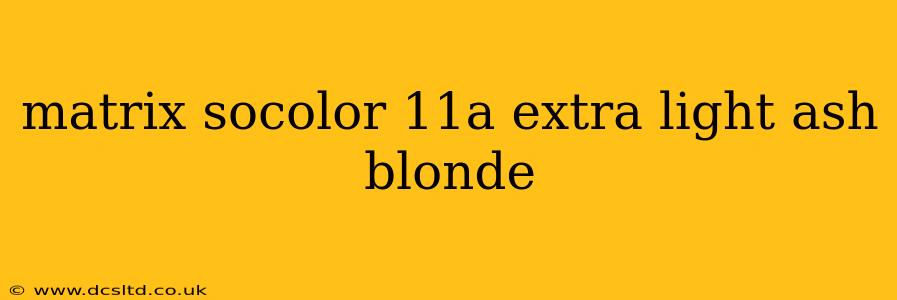 matrix socolor 11a extra light ash blonde