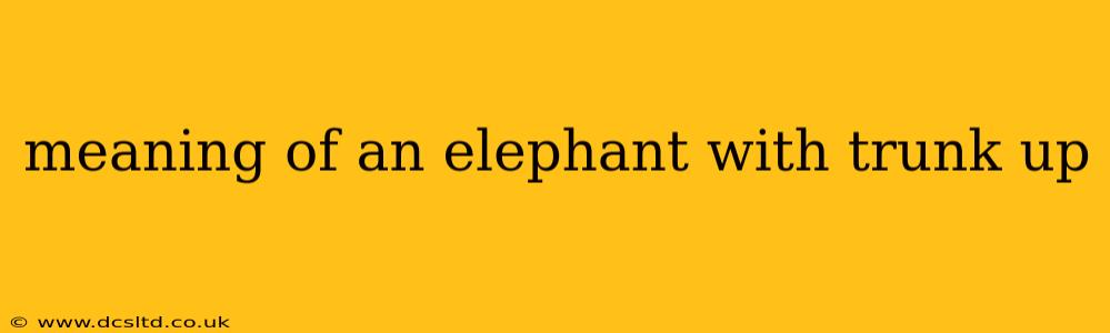 meaning of an elephant with trunk up