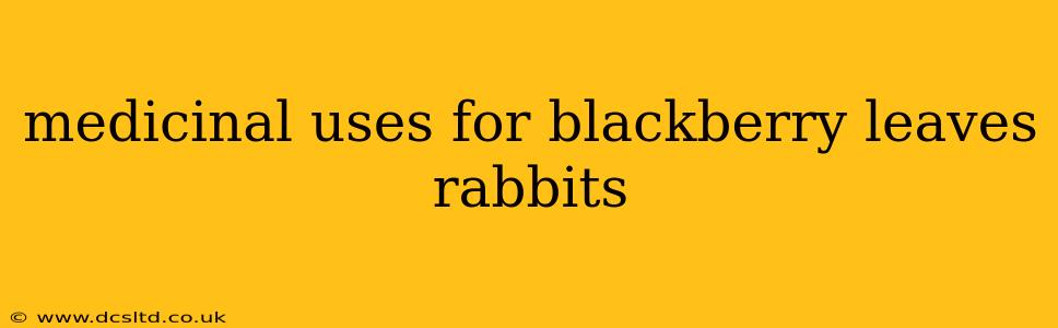 medicinal uses for blackberry leaves rabbits