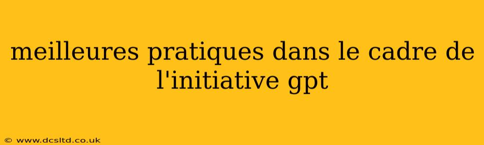 meilleures pratiques dans le cadre de l'initiative gpt