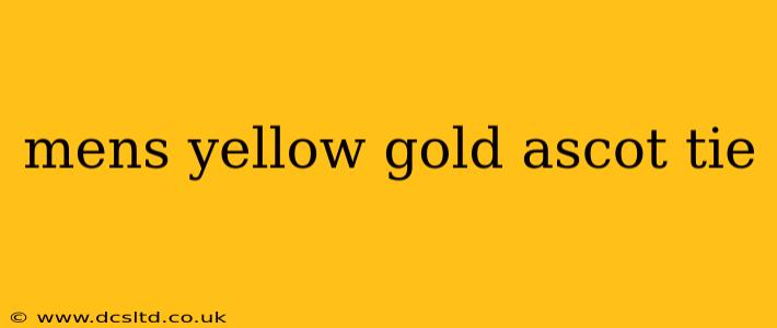 mens yellow gold ascot tie