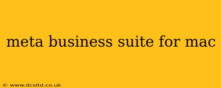 meta business suite for mac