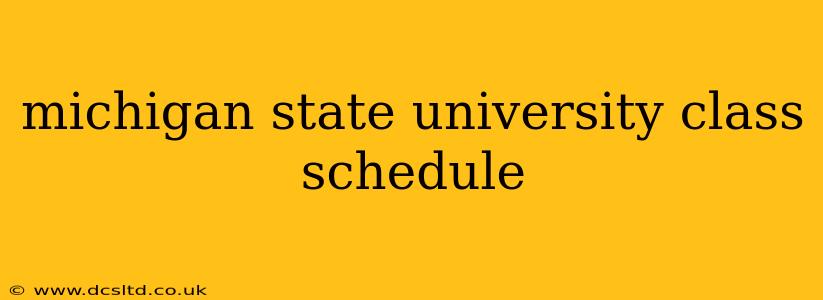 michigan state university class schedule