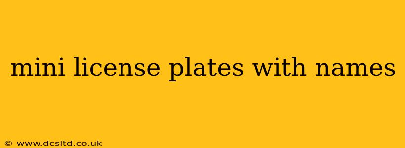 mini license plates with names